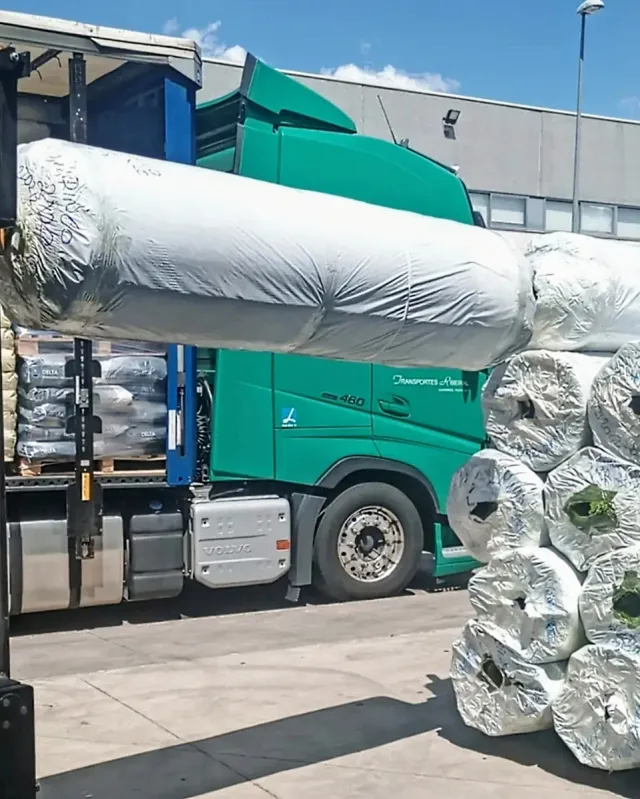 Césped Artificial RG ALMACENES Ancho 2 y 4 metros