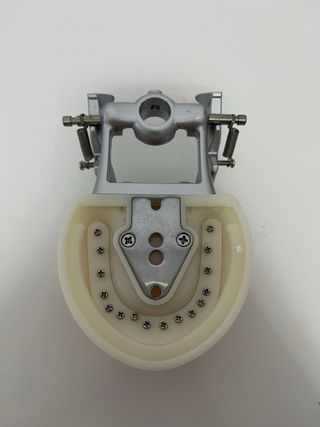 Modelo dental de tipodonto