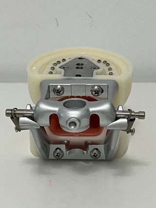 Modelo dental de tipodonto