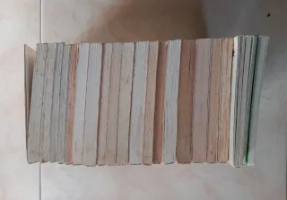 21x libros El Barco de Vapor + El Duende Verde