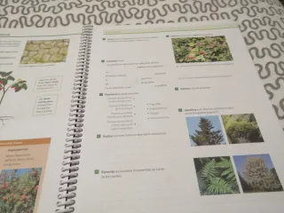 BIOLOGIA I GEOLOGIA COMPETENCIAS I CONTINGUTS C...