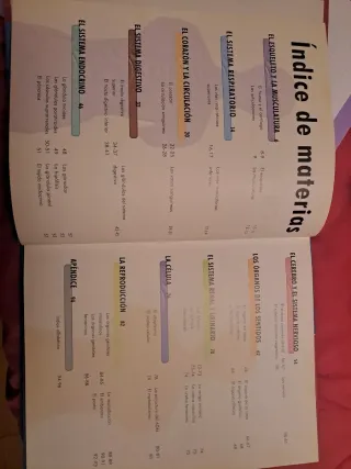 El Cuerpo Humano: Órganos, Sistemas y Funciones