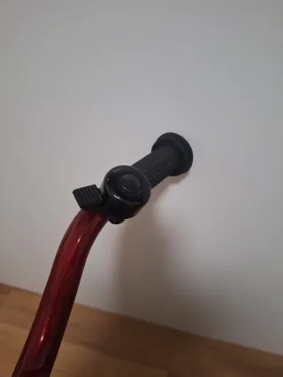 Bicicleta sin pedales Chicco First Bike Roja