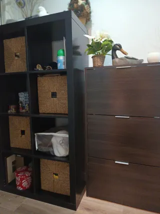 Estantería modular oscura mas zapatero a juego