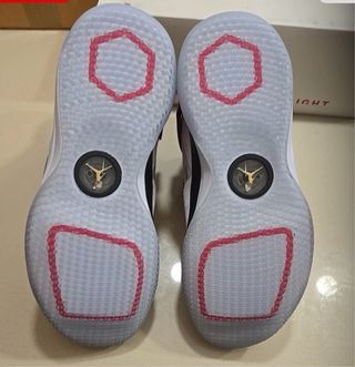 Air Jordan 33 - “Future of Flight”