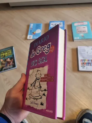 LOTE DE LIBROS JUVENILES