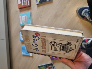 LOTE DE LIBROS JUVENILES