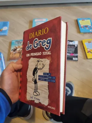 LOTE DE LIBROS JUVENILES