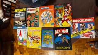 Lote Álbumes Cromos Varios Temas