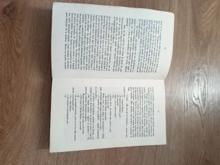 Momo (Spanish Language Edition)