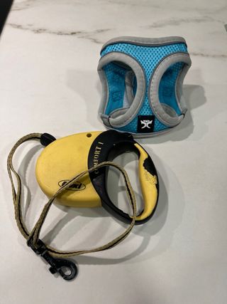 Correa Flexi para perro o gato  y arnés azul