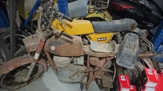 Lote Motos Clásicas