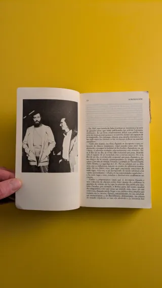 Rayuela (Letras hispanicas/ Hispanic Writings) ...