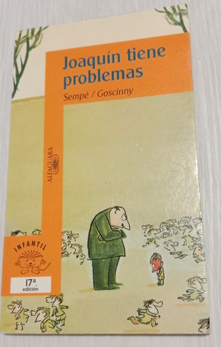 Lote de 11 libros infantiles y juveniles