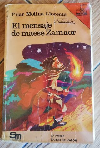 Lote de 11 libros infantiles y juveniles