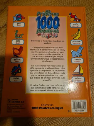 COL. 1000 PALABRAS EN INGLES(13)