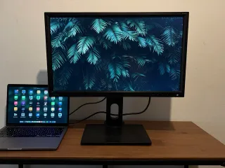 BenQ BL2420PT 24 Monitor QHD 2K