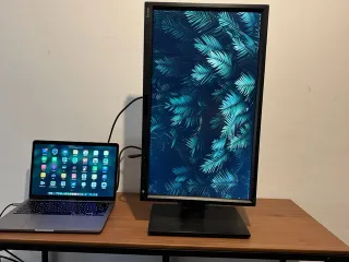 BenQ BL2420PT 24 Monitor QHD 2K