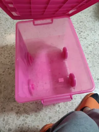 Caja de plástico para guardar princesas Disney