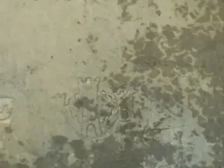 Bandejita Peltre G. Metter