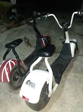 Patinetes eléctricos Citicoco VENDO O CAMBIO