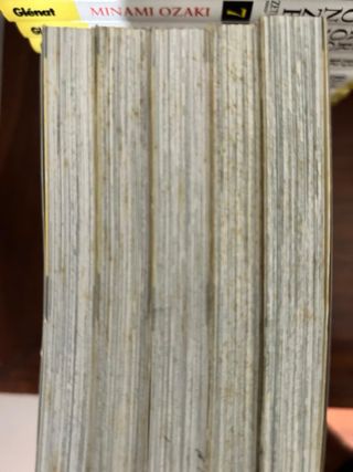 Colección completa BRONZE Manga