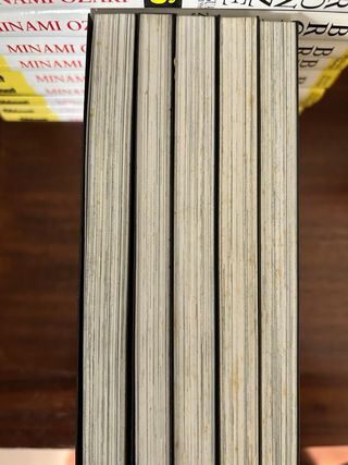 Colección completa BRONZE Manga