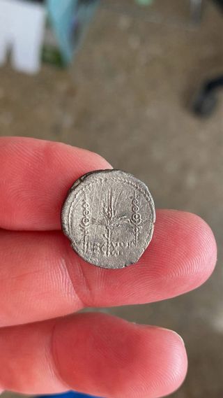 Denario Marco Antonio Legión XXI