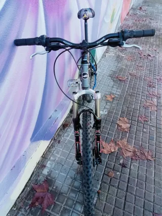 Bicicleta Giant XTC Aluminio
