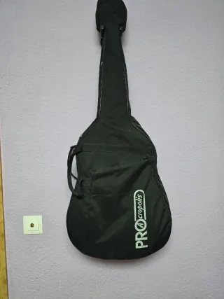 Guitarra Acústica Ibanez