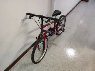 Bicicleta infantil 20 pulgadas