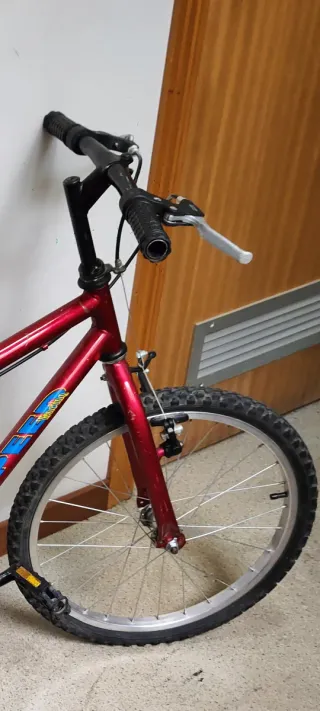 Bicicleta infantil 20 pulgadas