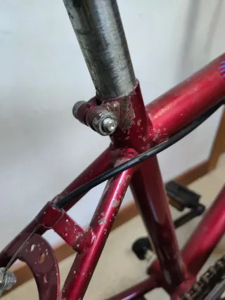 Bicicleta infantil 20 pulgadas