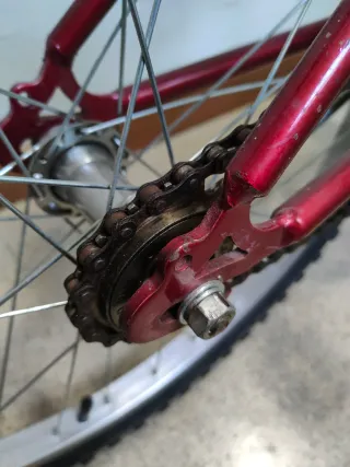 Bicicleta infantil 20 pulgadas