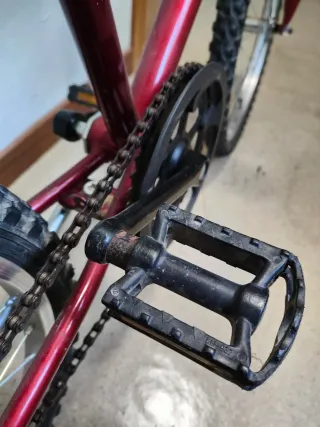 Bicicleta infantil 20 pulgadas