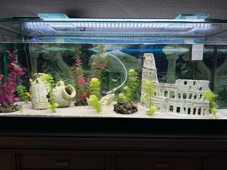Acuario 120L con mueble