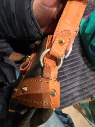 Bolso Louis Vuitton Marrón y Dorado