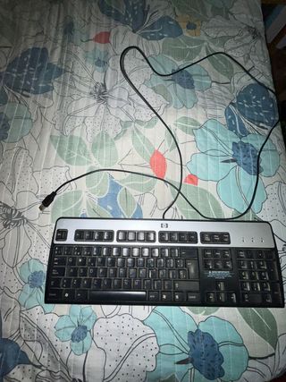 Teclado HP USB Negro/Plata