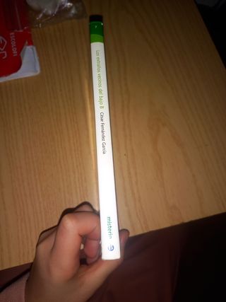 Los extraños vecinos del bajo B