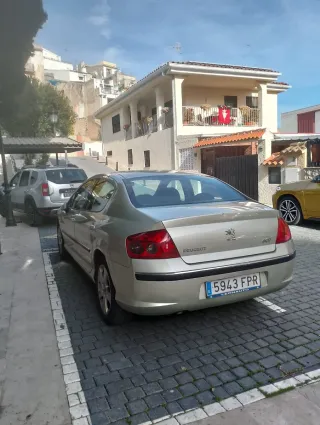 Peugeot 407 2007