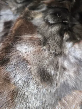 Abrigo  de lujo para invierno