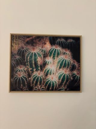 Cuadro de lienzo con cactus