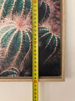 Cuadro de lienzo con cactus