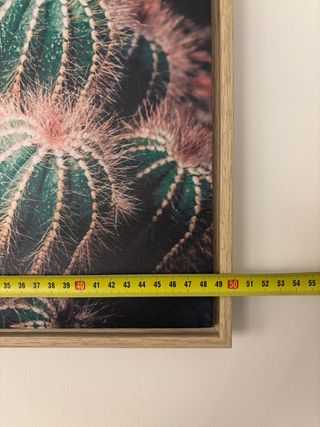 Cuadro de lienzo con cactus