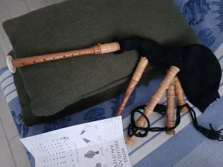 Cornamusa Giocattolo Junior Playable