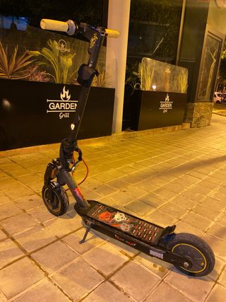 Patinete Eléctrico Ninebot G30 Max