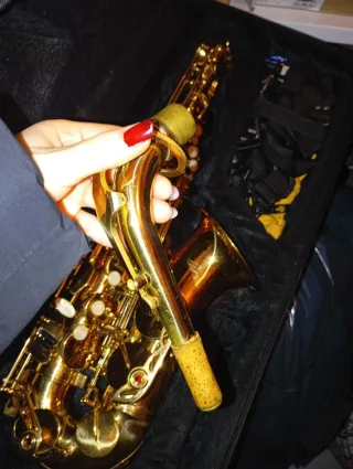 Saxofón alto con estuche y complementos