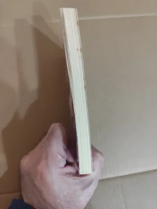 ESTADO CREOUSCULAR - JAVIER NEGRETE