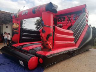 Alquiler Castillo Hinchable Lady Bug - Huelva