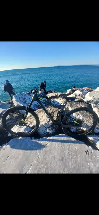 Bici scott genius 950